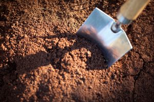 Garden trowel in the soil humus.